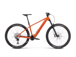 ROSE Bonero Plus 1