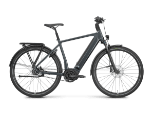 ROSE Xtra Watt Plus 2