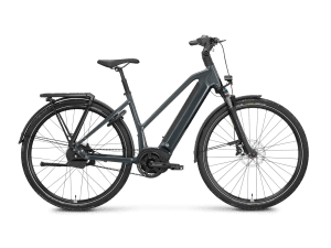 ROSE Xtra Watt Plus 3 MidStep
