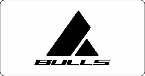 Bulls Logo